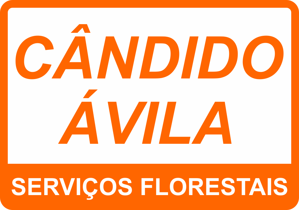 Wando Ávila Jr.